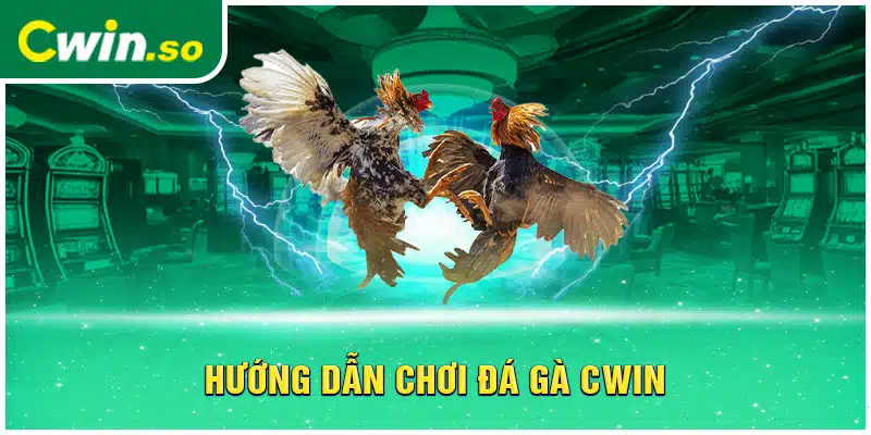 Hướng dẫn chơi đá gà CWIN