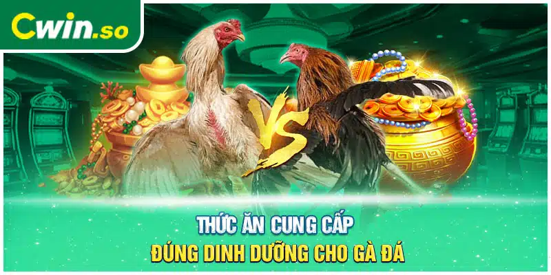 Thức ăn cung cấp đúng dinh dưỡng cho gà đá