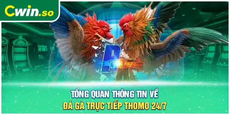 Tổng quan thông tin về đá gà trực tiếp thomo 24/7 