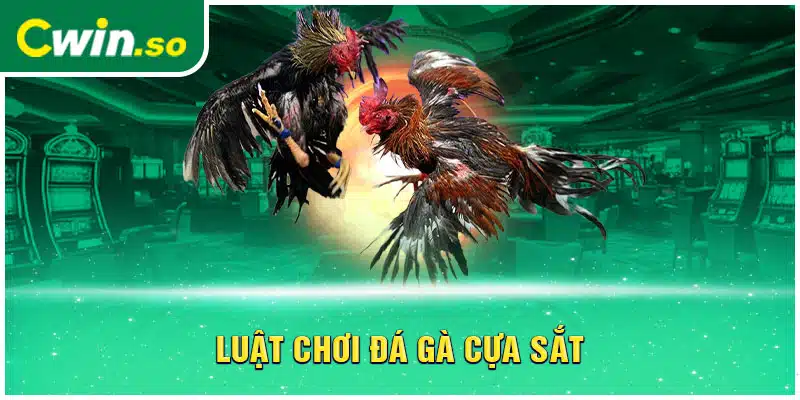 Luật chơi đá gà cựa sắt